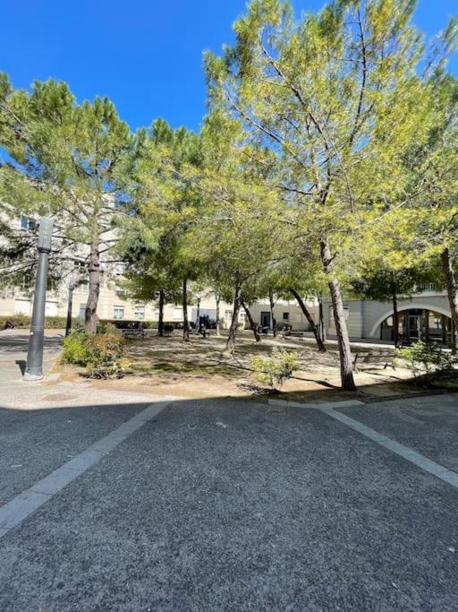 Petit Nid Douillet - Studio - Rives Du Lez - Wifi Apartment Montpellier Exterior photo